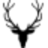 Allen Solly brand logo